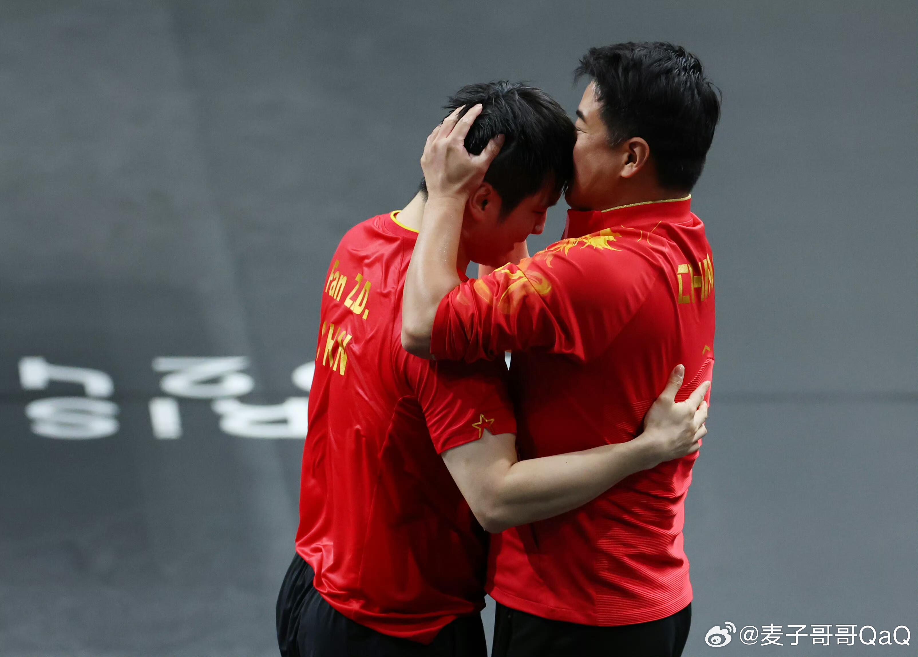 法国队碾压瑞典队，樊振东带队取胜