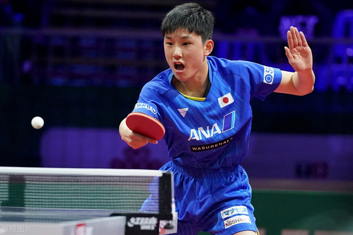 奥地利队横扫波兰队，张本智和惊艳四座