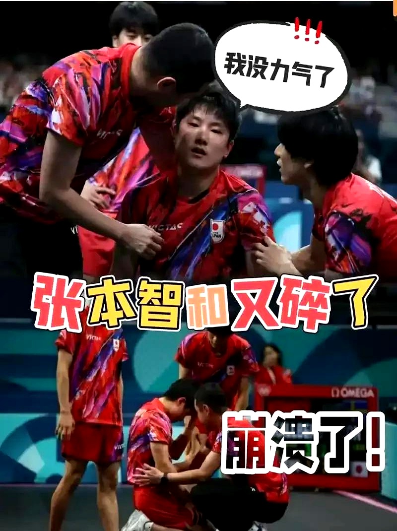 韩国队翻盘德国队，张本智和高光表现