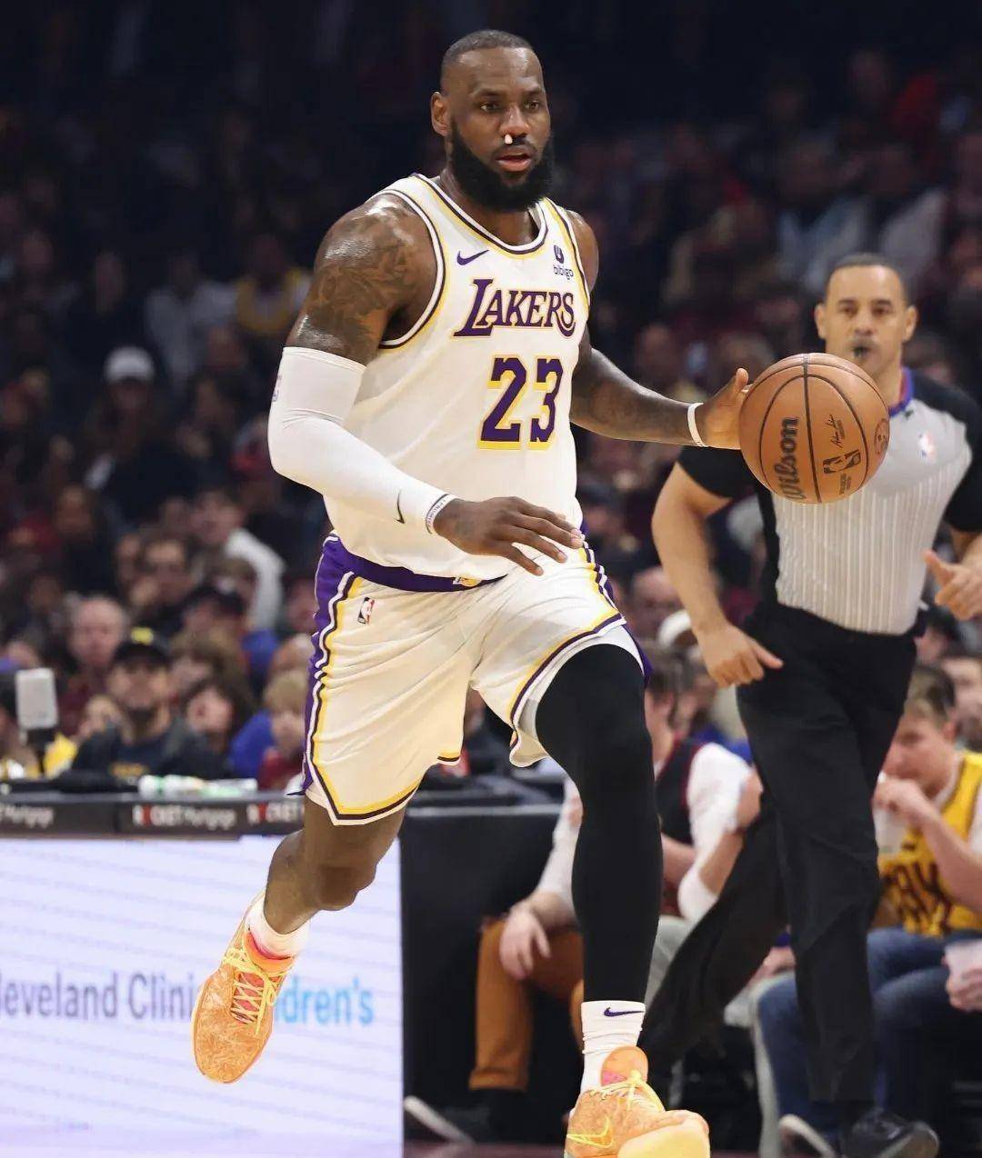 福建队完胜天津队，米切尔惊艳四座