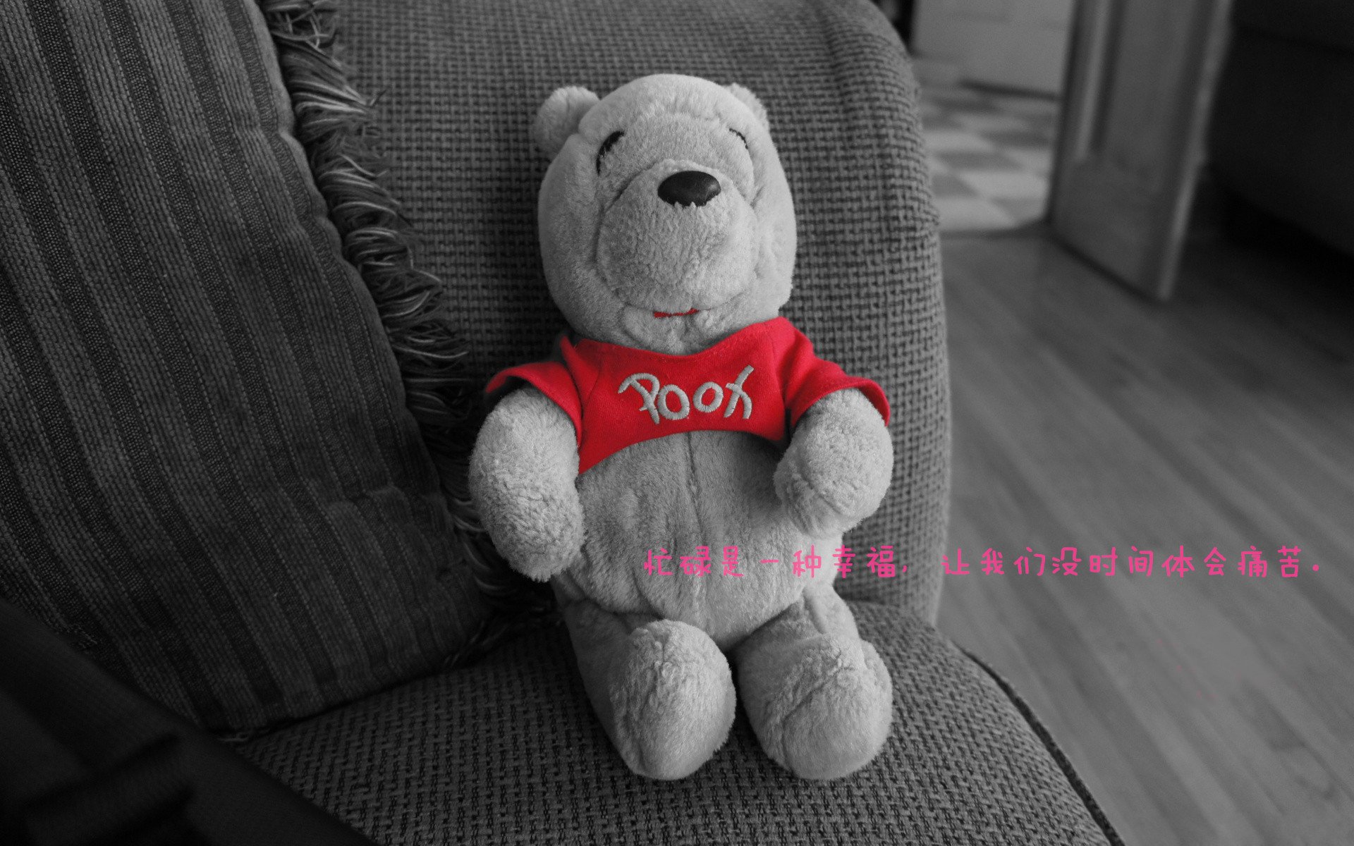 当岭南风暴席卷丹佛，广东队战术掘金，英格拉姆一剑封喉