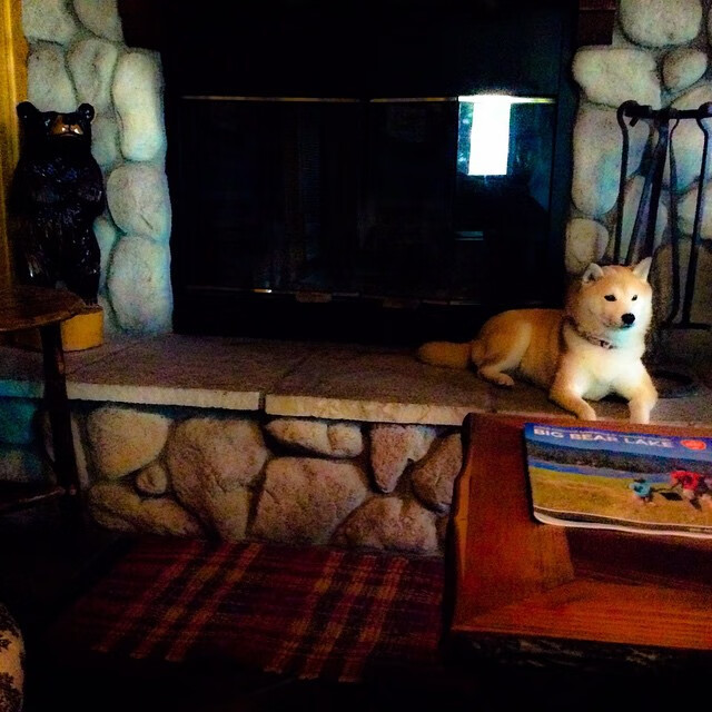 孤胆与铁壁，福克斯的统治之夜，勇士如何撕裂辽宁的钢铁防线