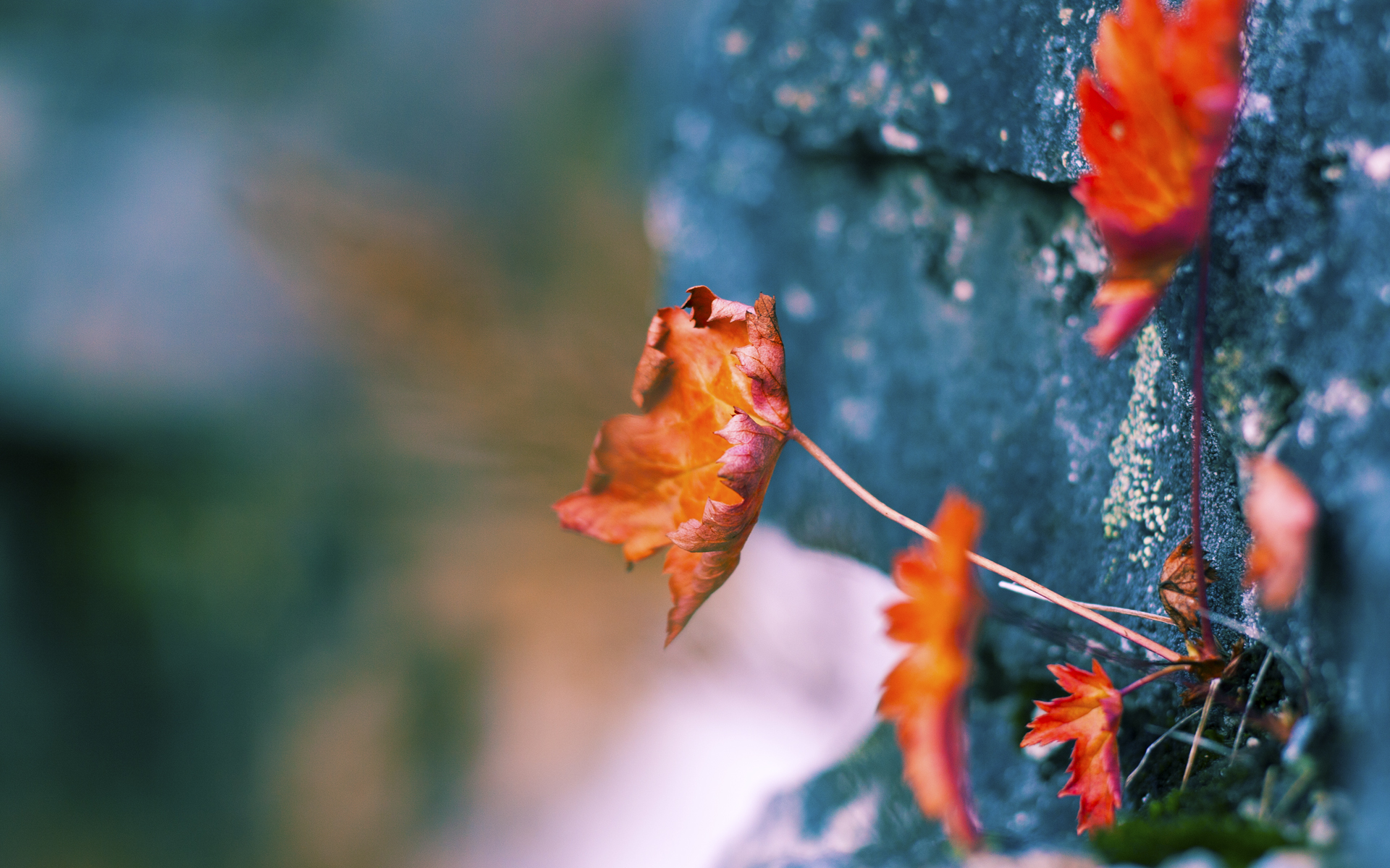 魔术险胜篮网，乔治在欧冠半决赛接管比赛，跨界竞技的胜利哲学